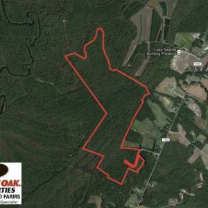 Photo of REDUCED!  230 Acres of Hunting Land For Sale in Brunswick County NC!