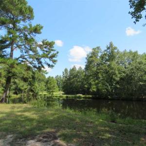 Photo of REDUCED!  230 Acres of Hunting Land For Sale in Brunswick County NC!