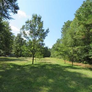 Photo of REDUCED!  230 Acres of Hunting Land For Sale in Brunswick County NC!