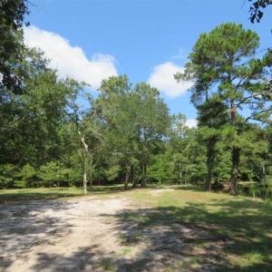 Photo of REDUCED!  230 Acres of Hunting Land For Sale in Brunswick County NC!