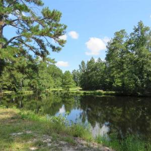 Photo of REDUCED!  230 Acres of Hunting Land For Sale in Brunswick County NC!