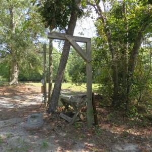 Photo of REDUCED!  230 Acres of Hunting Land For Sale in Brunswick County NC!