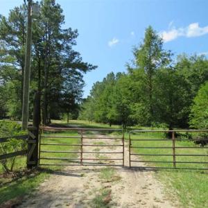 Photo of REDUCED!  230 Acres of Hunting Land For Sale in Brunswick County NC!