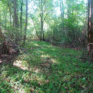 Photo of 7.7 Acres of Hunting and Investment Land For Sale in Chesapeake VA!