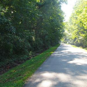 Photo of 7.7 Acres of Hunting and Investment Land For Sale in Chesapeake VA!