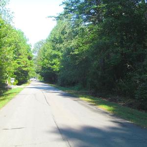 Photo of 7.7 Acres of Hunting and Investment Land For Sale in Chesapeake VA!