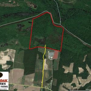 Photo of SOLD!  172 Acres of Riverfront Hunting and Timber Land For Sale in Craven County NC!