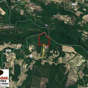 Photo of SOLD!  172 Acres of Riverfront Hunting and Timber Land For Sale in Craven County NC!