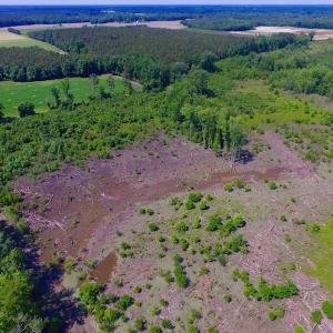 Photo of SOLD!  172 Acres of Riverfront Hunting and Timber Land For Sale in Craven County NC!