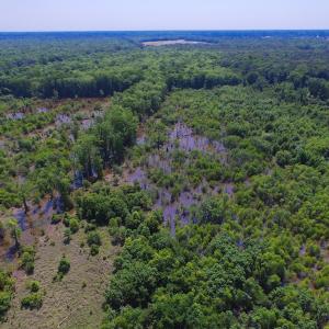 Photo of SOLD!  172 Acres of Riverfront Hunting and Timber Land For Sale in Craven County NC!