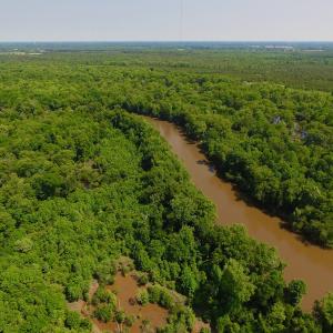 Photo of SOLD!  172 Acres of Riverfront Hunting and Timber Land For Sale in Craven County NC!