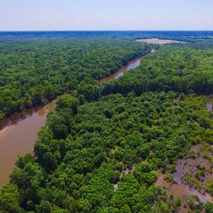 Photo of SOLD!  172 Acres of Riverfront Hunting and Timber Land For Sale in Craven County NC!