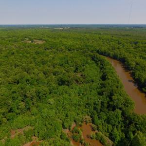 Photo of SOLD!  172 Acres of Riverfront Hunting and Timber Land For Sale in Craven County NC!