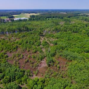 Photo of SOLD!  172 Acres of Riverfront Hunting and Timber Land For Sale in Craven County NC!