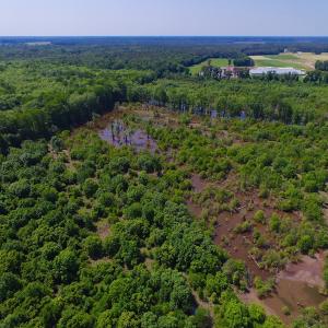 Photo of SOLD!  172 Acres of Riverfront Hunting and Timber Land For Sale in Craven County NC!