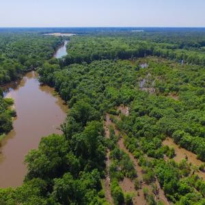 Photo of SOLD!  172 Acres of Riverfront Hunting and Timber Land For Sale in Craven County NC!