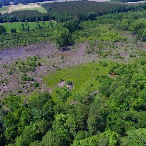 Photo of SOLD!  172 Acres of Riverfront Hunting and Timber Land For Sale in Craven County NC!