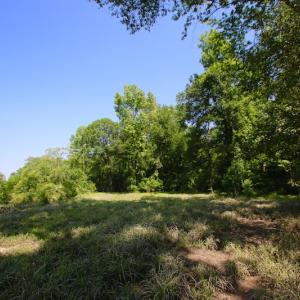 Photo of SOLD!  172 Acres of Riverfront Hunting and Timber Land For Sale in Craven County NC!