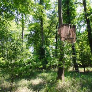 Photo of SOLD!  172 Acres of Riverfront Hunting and Timber Land For Sale in Craven County NC!