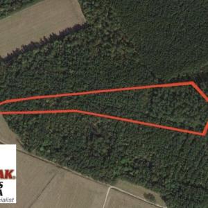 Photo of UNDER CONTRACT!  8.38 Acres of Timber and Hunting Land For Sale in Suffolk County VA!