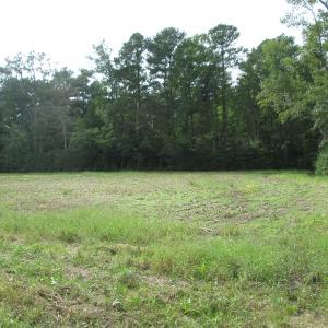 Photo of UNDER CONTRACT!  8.38 Acres of Timber and Hunting Land For Sale in Suffolk County VA!