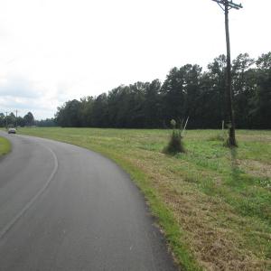 Photo of UNDER CONTRACT!  8.38 Acres of Timber and Hunting Land For Sale in Suffolk County VA!