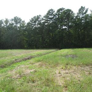 Photo of UNDER CONTRACT!  8.38 Acres of Timber and Hunting Land For Sale in Suffolk County VA!