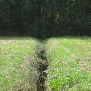 Photo of UNDER CONTRACT!  8.38 Acres of Timber and Hunting Land For Sale in Suffolk County VA!