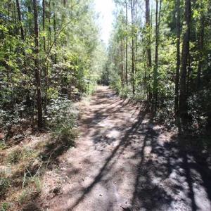 Photo of REDUCED!  442 Acres of Waterfront Hunting and Timber Land For Sale in Pamlico County NC!