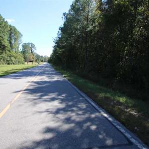Photo of REDUCED!  442 Acres of Waterfront Hunting and Timber Land For Sale in Pamlico County NC!