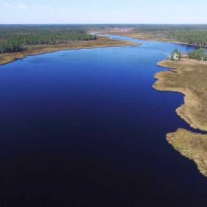 Photo of REDUCED!  442 Acres of Waterfront Hunting and Timber Land For Sale in Pamlico County NC!