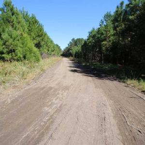 Photo of REDUCED!  442 Acres of Waterfront Hunting and Timber Land For Sale in Pamlico County NC!