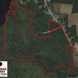 Photo of REDUCED!  442 Acres of Waterfront Hunting and Timber Land For Sale in Pamlico County NC!