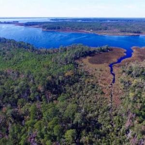 Photo of REDUCED!  442 Acres of Waterfront Hunting and Timber Land For Sale in Pamlico County NC!