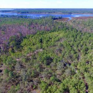 Photo of REDUCED!  442 Acres of Waterfront Hunting and Timber Land For Sale in Pamlico County NC!