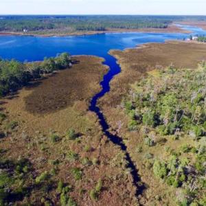 Photo of REDUCED!  442 Acres of Waterfront Hunting and Timber Land For Sale in Pamlico County NC!