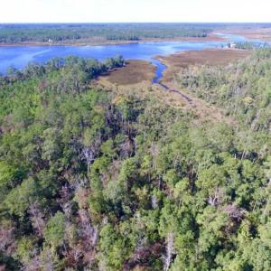 Photo of REDUCED!  442 Acres of Waterfront Hunting and Timber Land For Sale in Pamlico County NC!