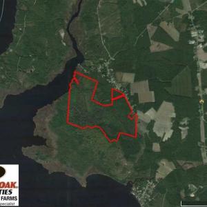 Photo of REDUCED!  442 Acres of Waterfront Hunting and Timber Land For Sale in Pamlico County NC!