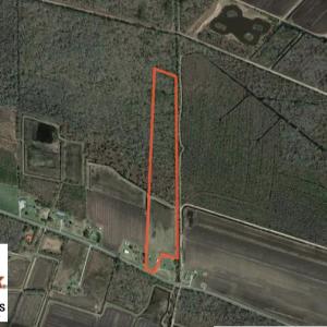 Photo of SOLD!  19.21 Acres of Hunting Land with Duck Impoundment For Sale in Hyde County NC!