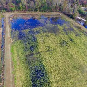 Photo of SOLD!  19.21 Acres of Hunting Land with Duck Impoundment For Sale in Hyde County NC!