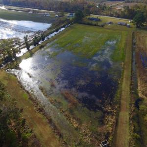 Photo of SOLD!  19.21 Acres of Hunting Land with Duck Impoundment For Sale in Hyde County NC!
