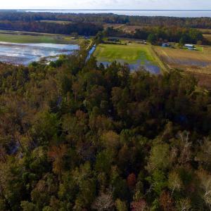 Photo of SOLD!  19.21 Acres of Hunting Land with Duck Impoundment For Sale in Hyde County NC!