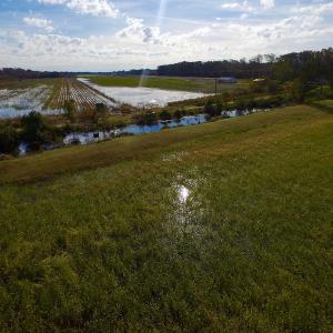 Photo of SOLD!  19.21 Acres of Hunting Land with Duck Impoundment For Sale in Hyde County NC!