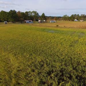 Photo of SOLD!  19.21 Acres of Hunting Land with Duck Impoundment For Sale in Hyde County NC!