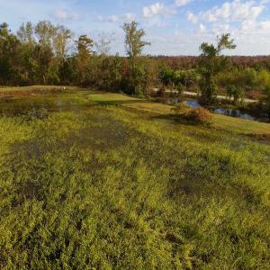 Photo of SOLD!  19.21 Acres of Hunting Land with Duck Impoundment For Sale in Hyde County NC!