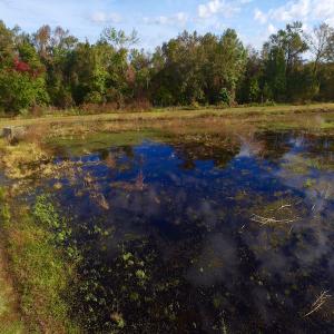 Photo of SOLD!  19.21 Acres of Hunting Land with Duck Impoundment For Sale in Hyde County NC!