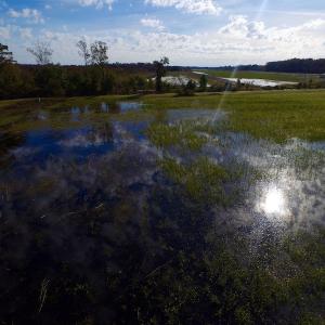 Photo of SOLD!  19.21 Acres of Hunting Land with Duck Impoundment For Sale in Hyde County NC!