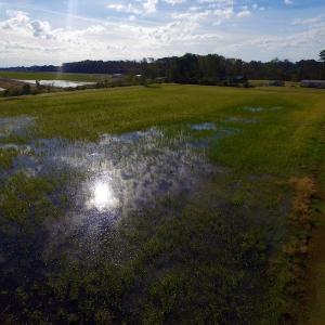 Photo of SOLD!  19.21 Acres of Hunting Land with Duck Impoundment For Sale in Hyde County NC!