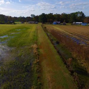 Photo of SOLD!  19.21 Acres of Hunting Land with Duck Impoundment For Sale in Hyde County NC!