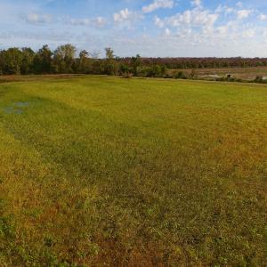Photo of SOLD!  19.21 Acres of Hunting Land with Duck Impoundment For Sale in Hyde County NC!